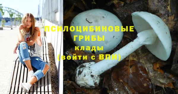героин Абаза