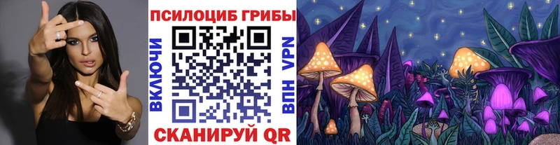 Галлюциногенные грибы MAGIC MUSHROOMS  mega вход  Шали 