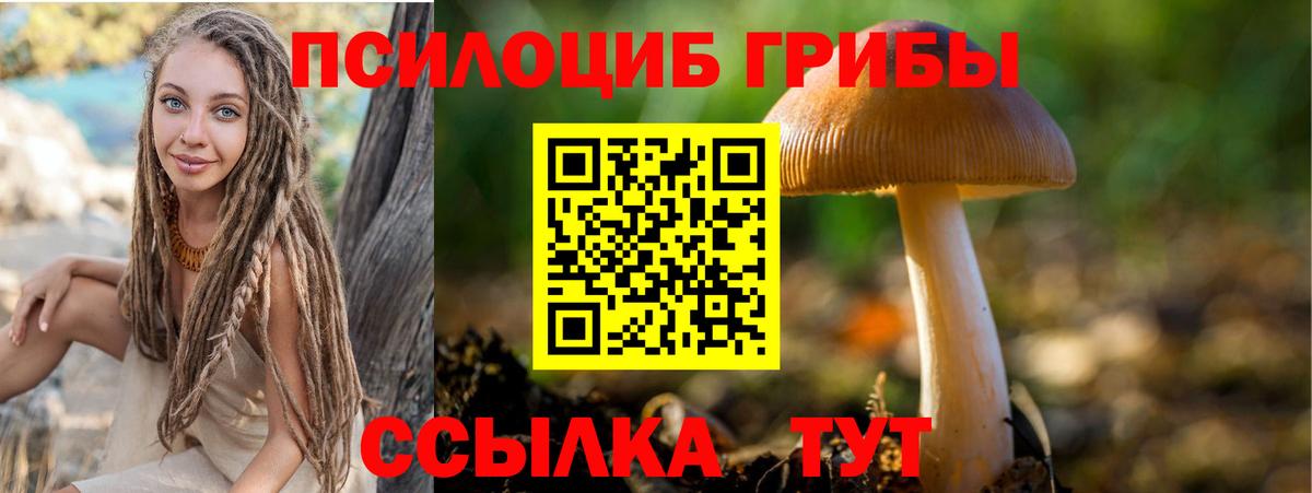 Галлюциногенные грибы MAGIC MUSHROOMS  Вход с VPN  Шали  Псилоцибиновые грибы GOLDEN TEACHER 